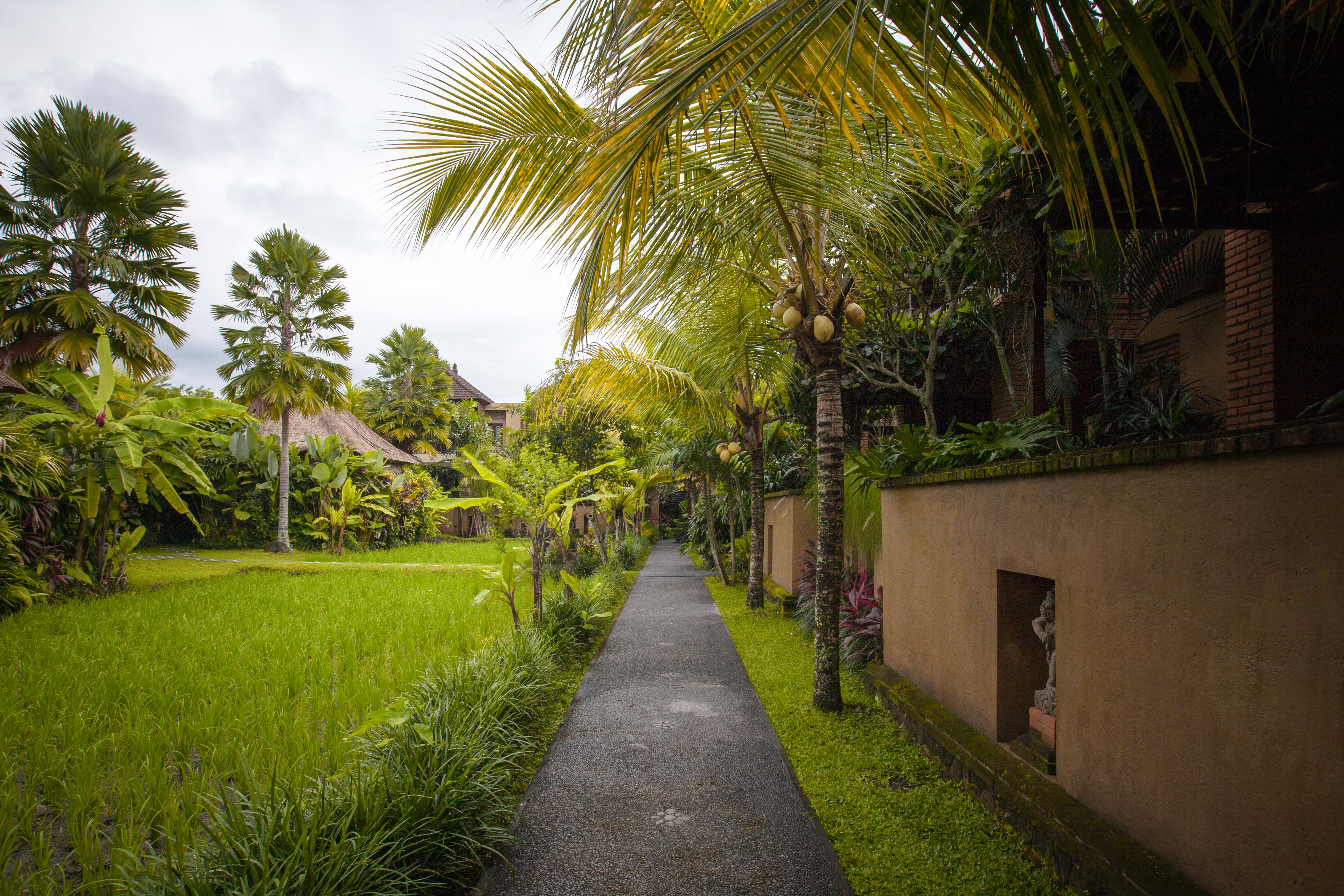 Bebek Tepi Sawah Restaurant & Villas Ubud  Exterior photo